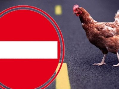 ممنوعیت خروج غیرمجاز مرغ از گلستان