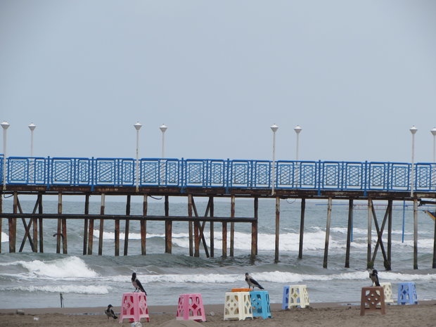 فرصت ۱۲ هزار هکتاری اقتصادی در اراضی ساحلی گلستان