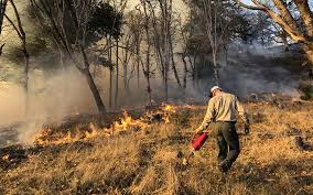 گلستان در آماده‌باش کامل برای مقابله با آتش‌سوزی‌های جنگلی