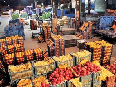آغاز طرح تأمین و توزیع اقلام اساسی و میوه‌های تنظیم بازار